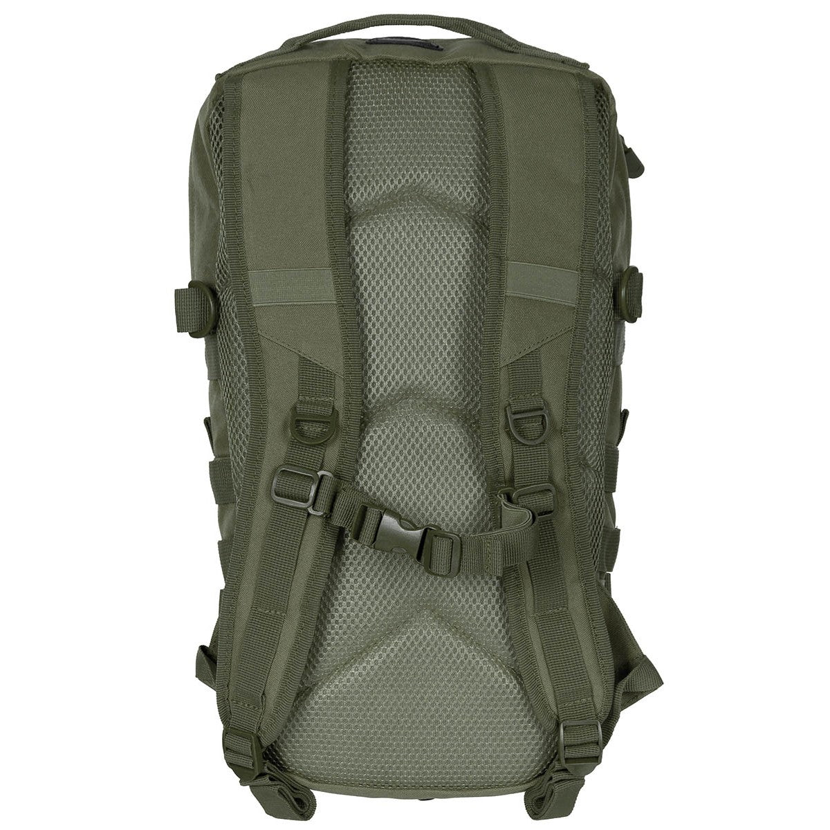 30320B_Olive_Back