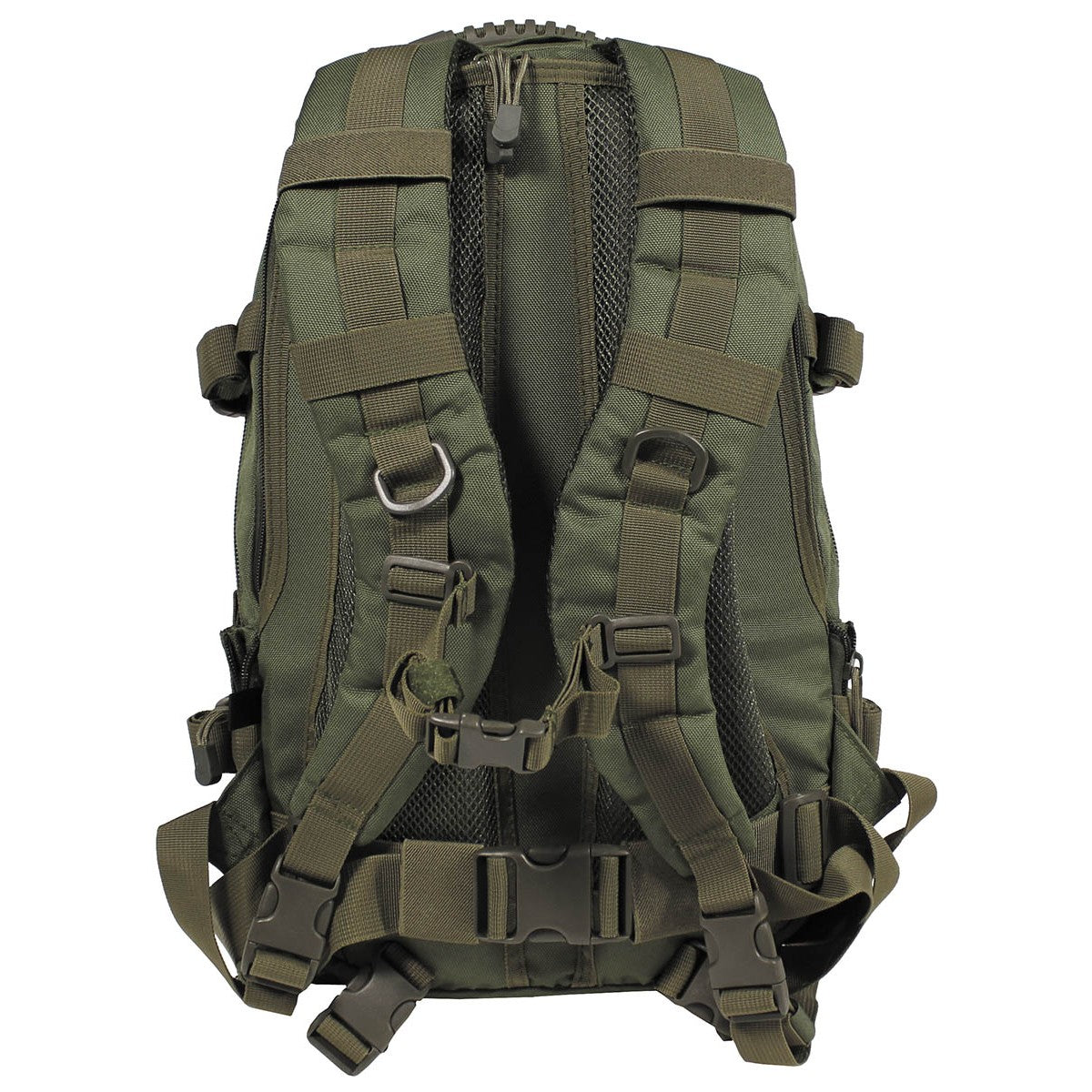30310B_Olive_Back