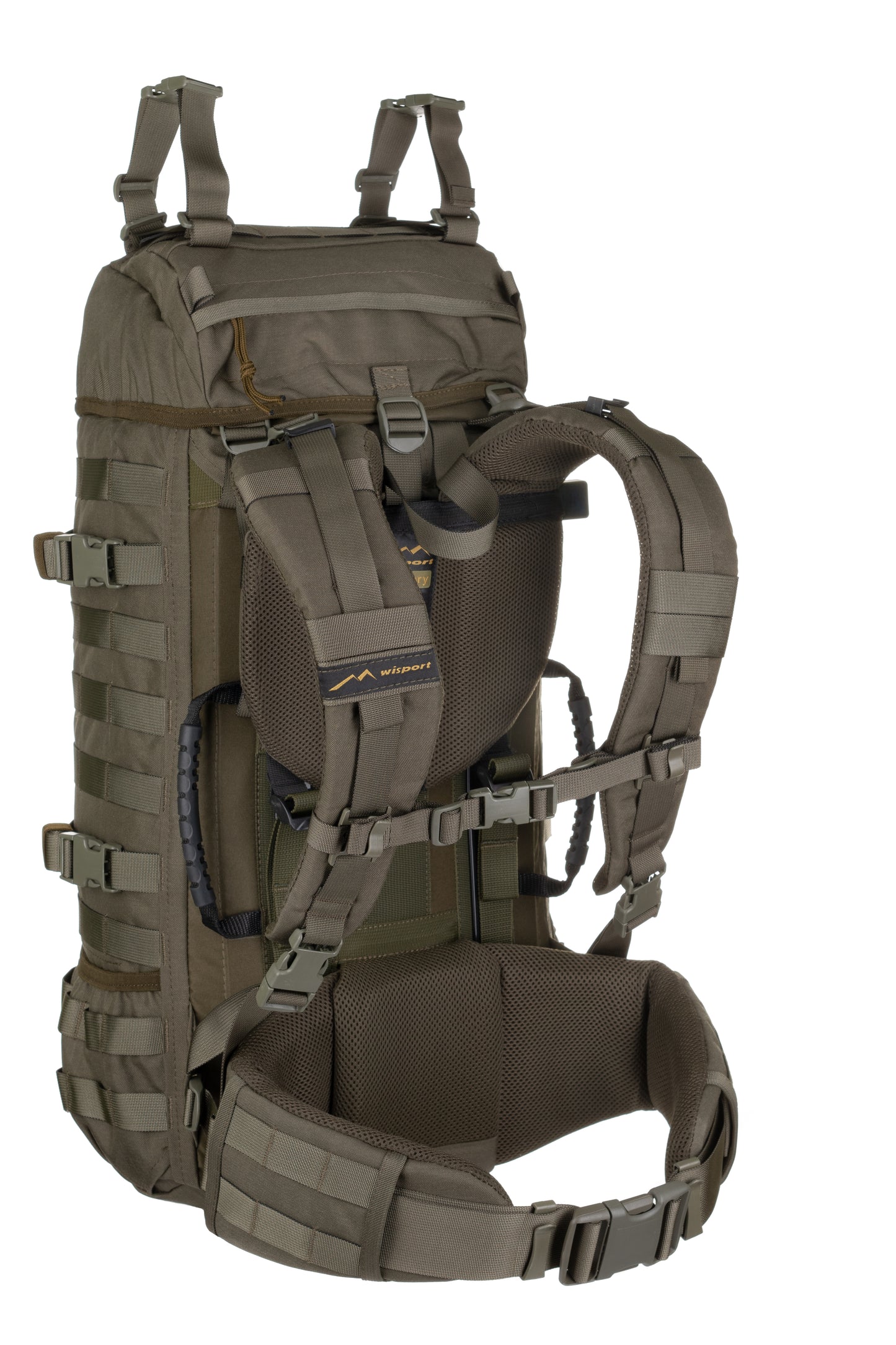 Raccoon-45_RAL6003_Back