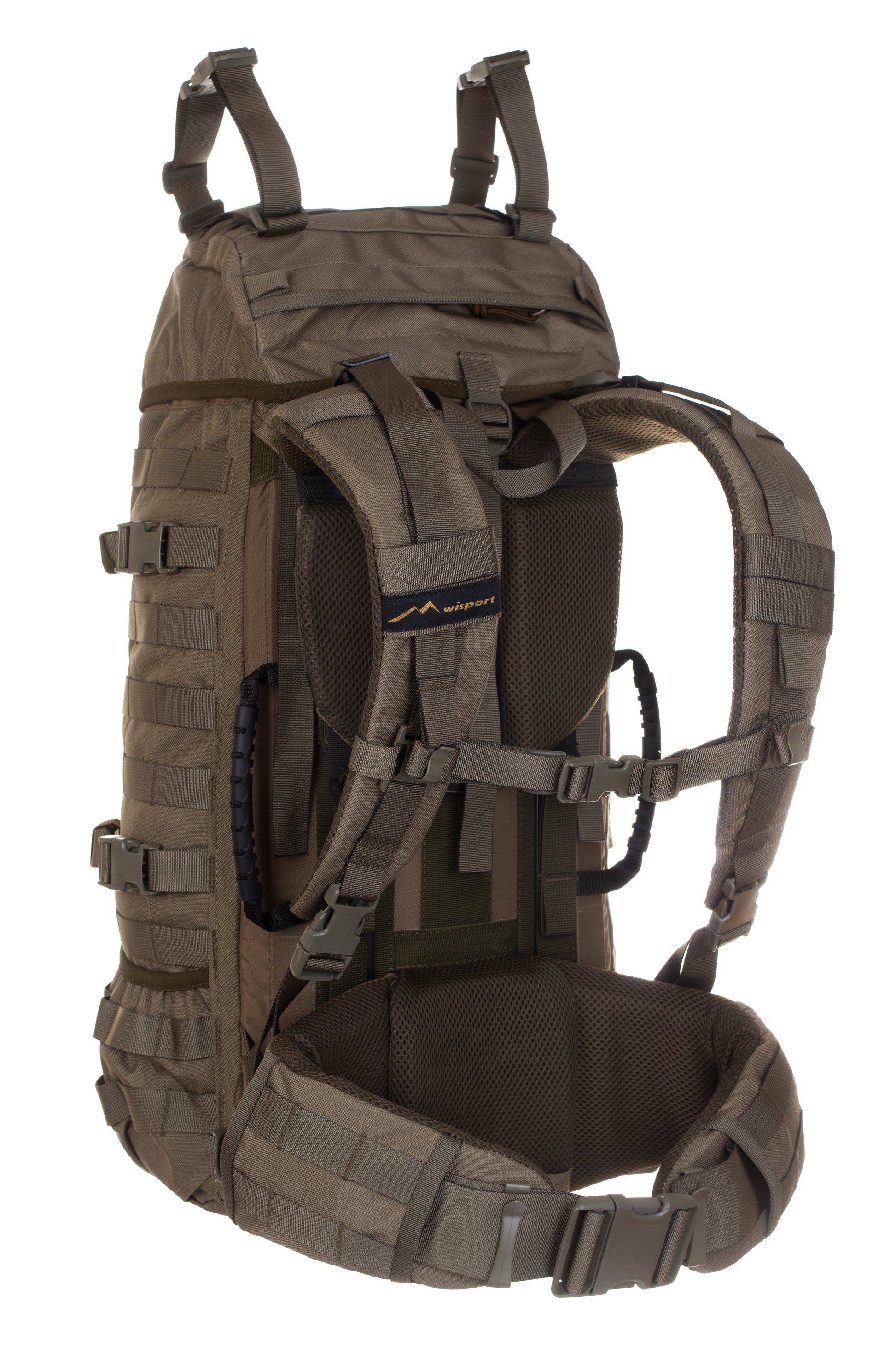 Raccoon-45_RAL7013_Back