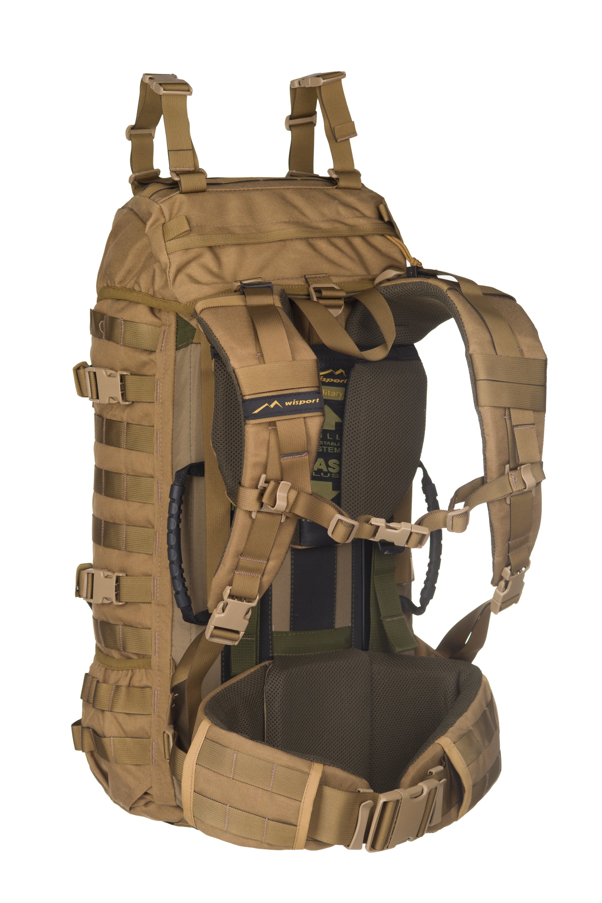 Raccoon-45_Coyote_Back