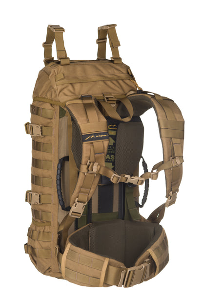 Raccoon-45_Coyote_Back