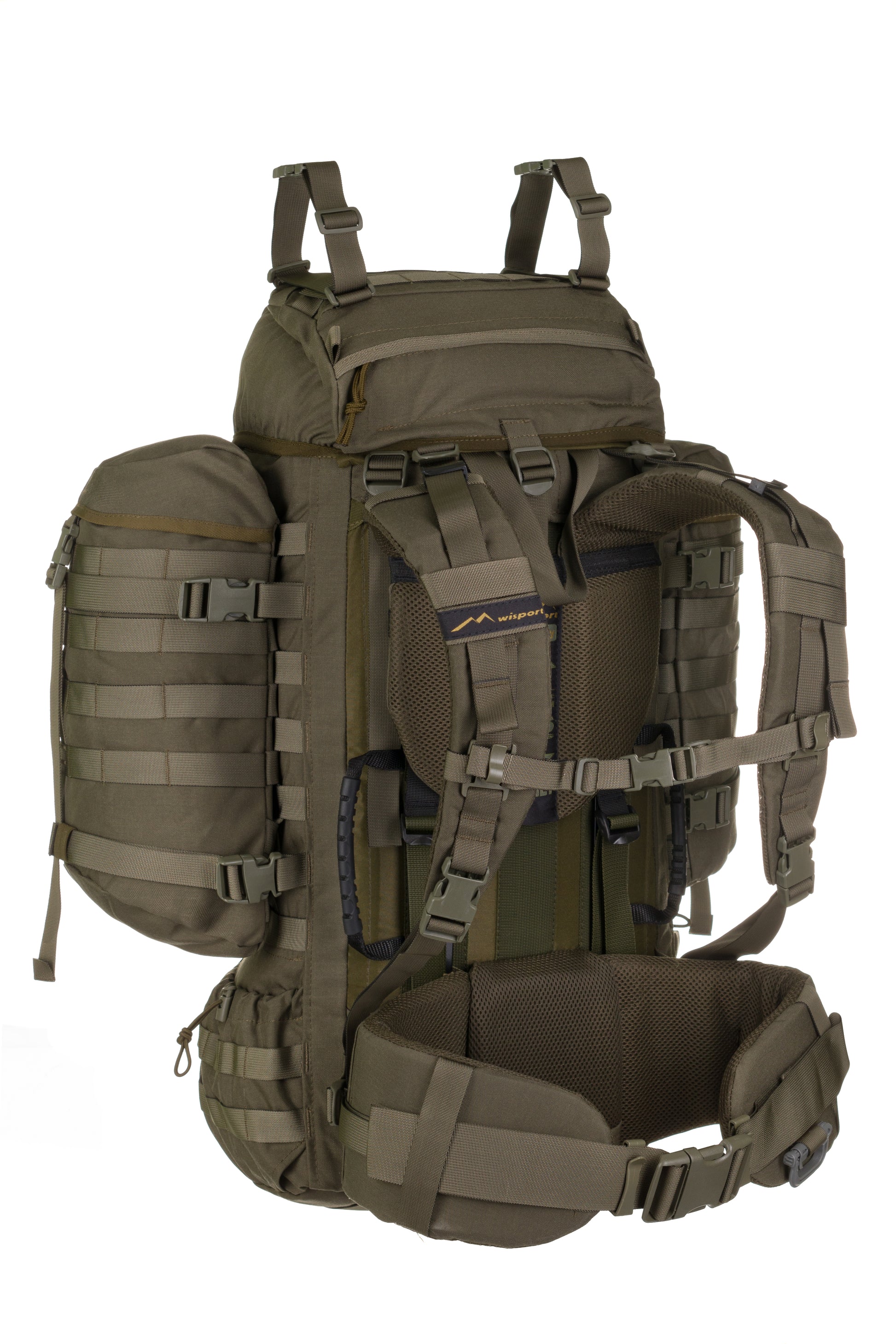 Raccoon-65_RAL6003_Back