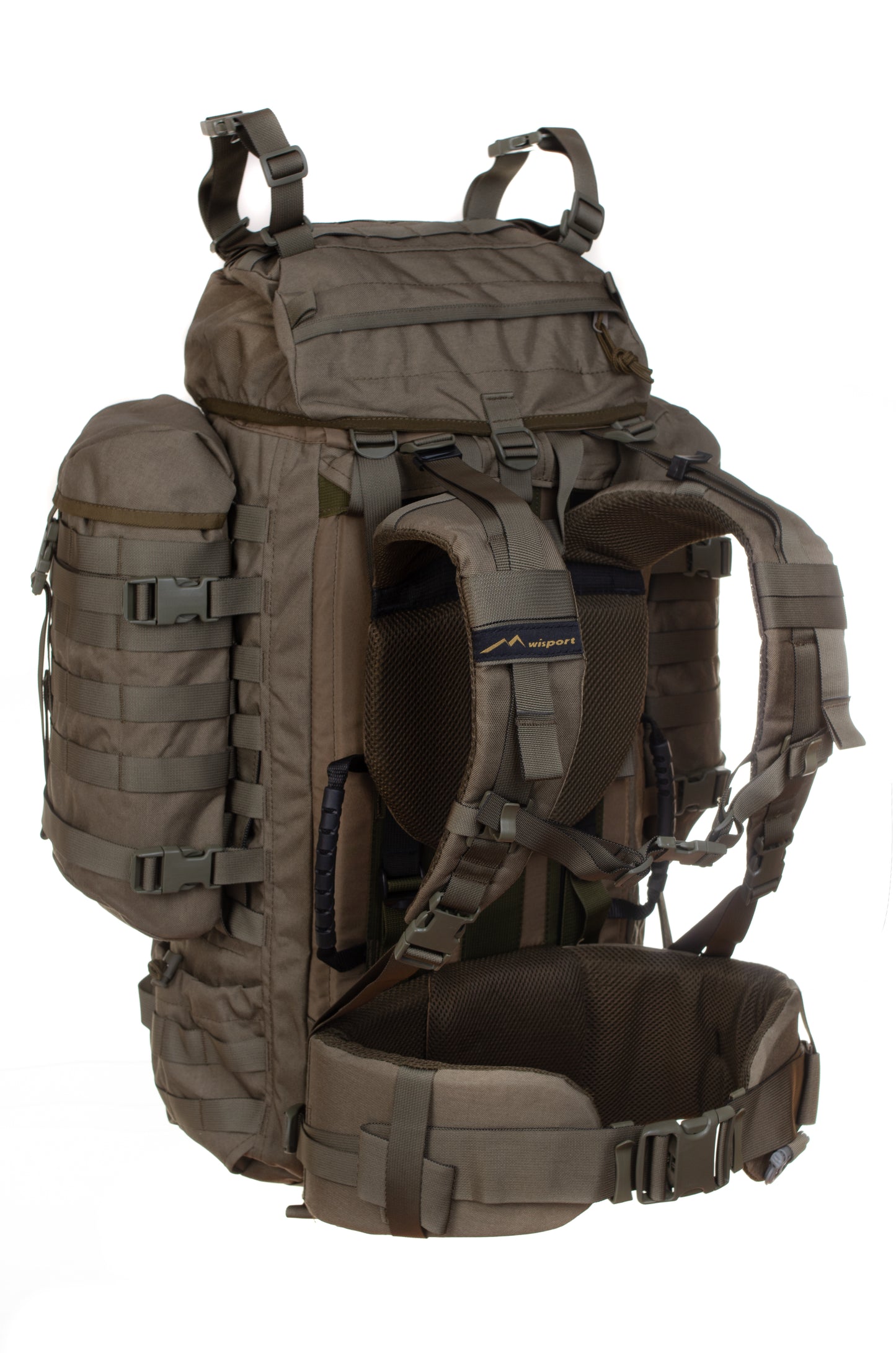 Raccoon-65_RAL7013_Back