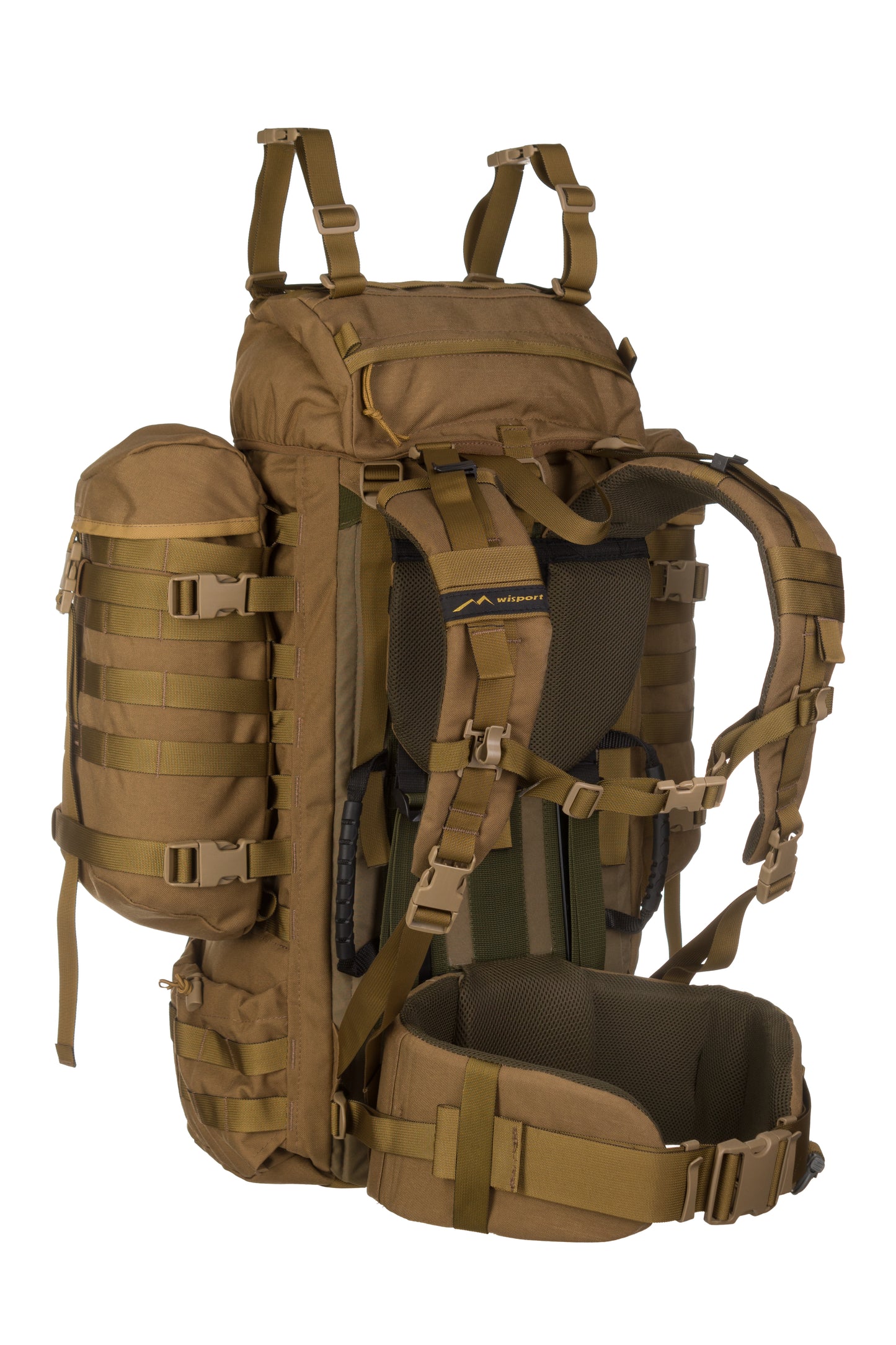 Raccoon-65_Coyote_Back