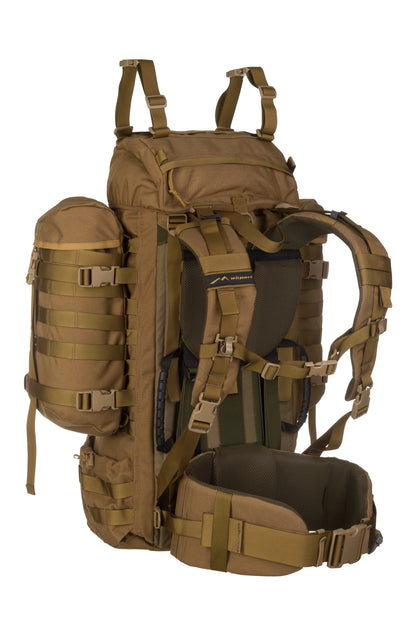 Raccoon-65_Coyote_Back