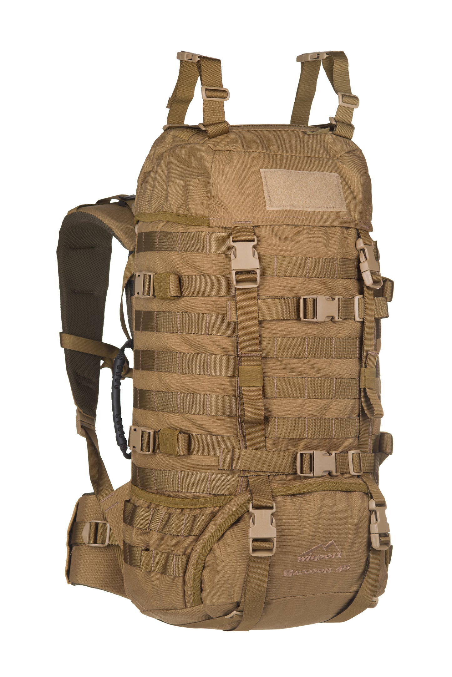 Raccoon-45_Coyote_Front