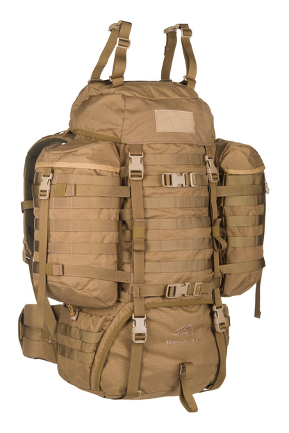 Raccoon-85_Coyote_Front