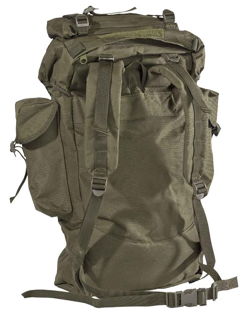 080510_Olive_Back