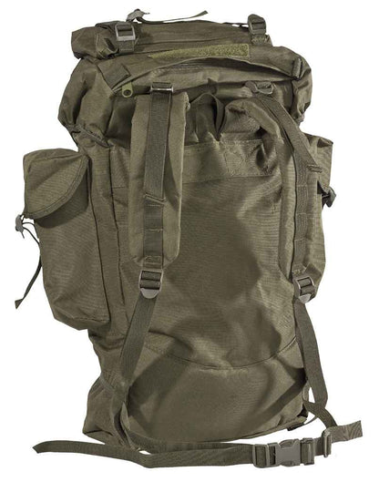 080510_Olive_Back
