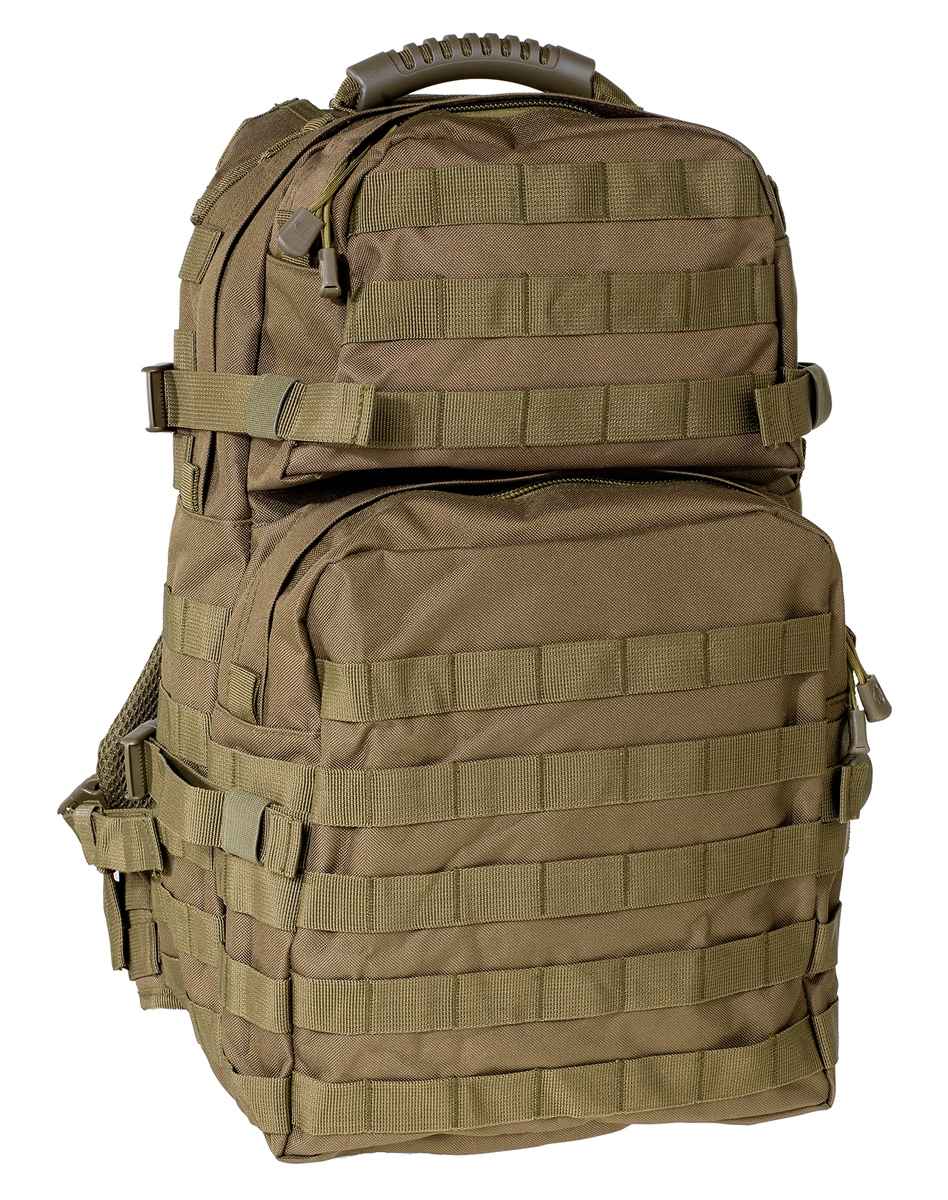 081090_Olive_Front