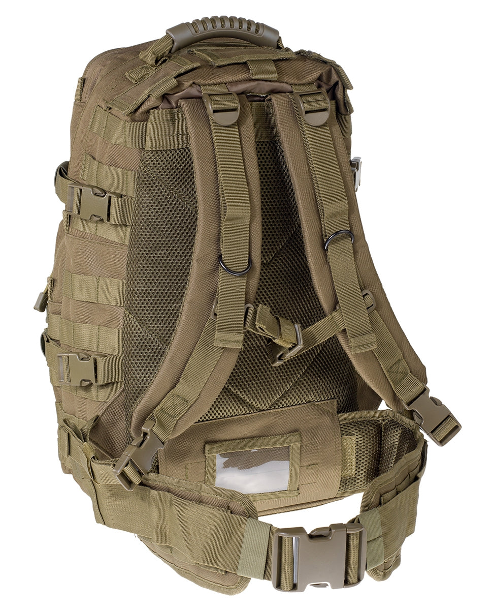 081090_Olive_Back