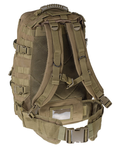 081090_Olive_Back